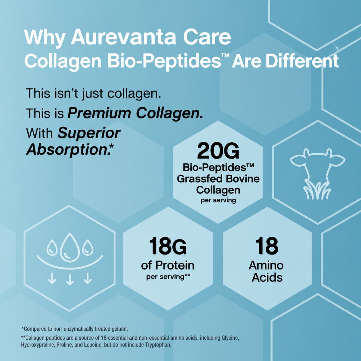 Daily Collagen Peptides